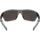TERRUS, Dark Grey Crystal-Brown Polarized, hi-res image number null